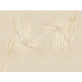 RIMURA / Main Collection