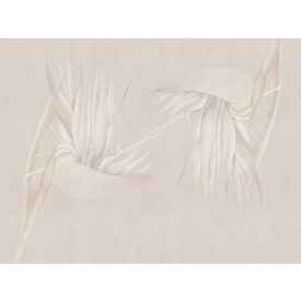 RIMURA / Main Collection