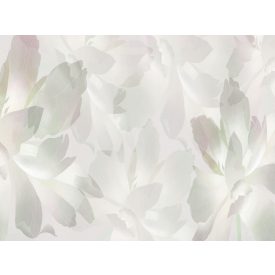 RIMURA / Main Collection