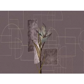 RIMURA / Main Collection