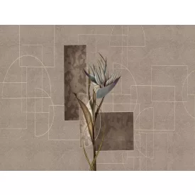 RIMURA / Main Collection