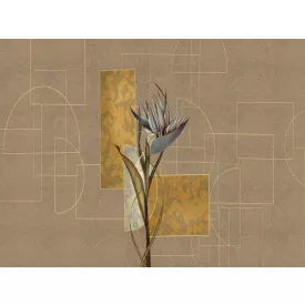 RIMURA / Main Collection