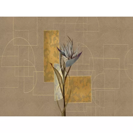 RIMURA / Main Collection