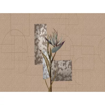 RIMURA / Main Collection