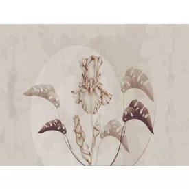 RIMURA / Main Collection