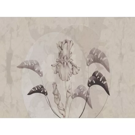 RIMURA / Main Collection