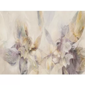 RIMURA / Main Collection