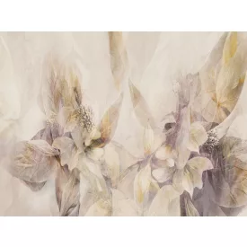 RIMURA / Main Collection