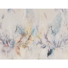 RIMURA / Main Collection