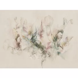 RIMURA / Main Collection