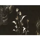 RIMURA / Main Collection