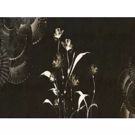 RIMURA / Main Collection