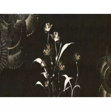 RIMURA / Main Collection