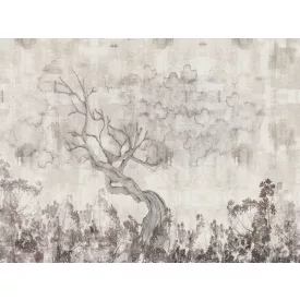 RIMURA / Main Collection