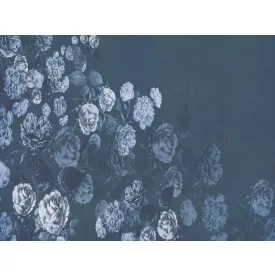 RIMURA / Main Collection