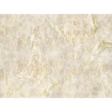 RIMURA / Main Collection