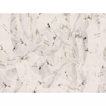 RIMURA / Main Collection