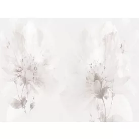 RIMURA / Main Collection