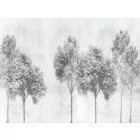 RIMURA / Main Collection