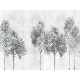 RIMURA / Main Collection