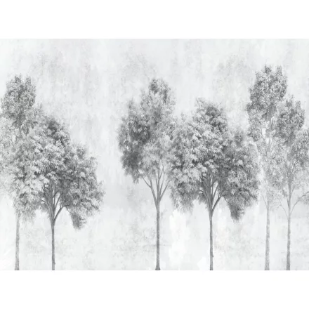 RIMURA / Main Collection