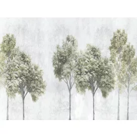 RIMURA / Main Collection