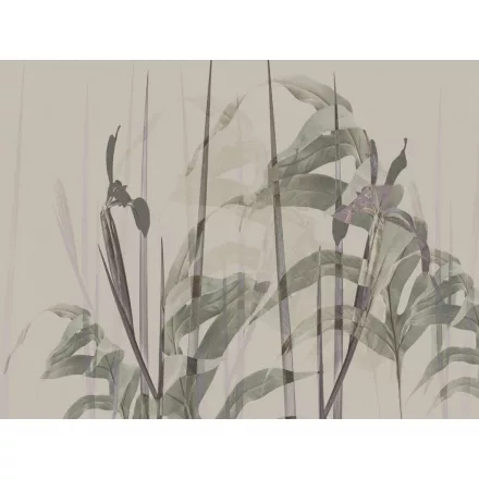 RIMURA / Main Collection