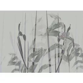 RIMURA / Main Collection