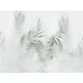 RIMURA / Main Collection