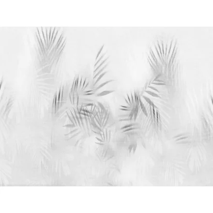 RIMURA / Main Collection