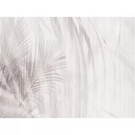 RIMURA / Main Collection