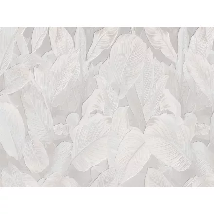 RIMURA / Main Collection