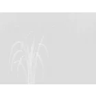 RIMURA / Main Collection