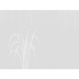 RIMURA / Main Collection