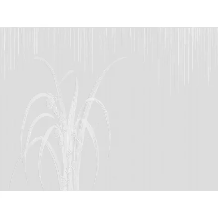 RIMURA / Main Collection