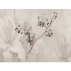 RIMURA / Main Collection