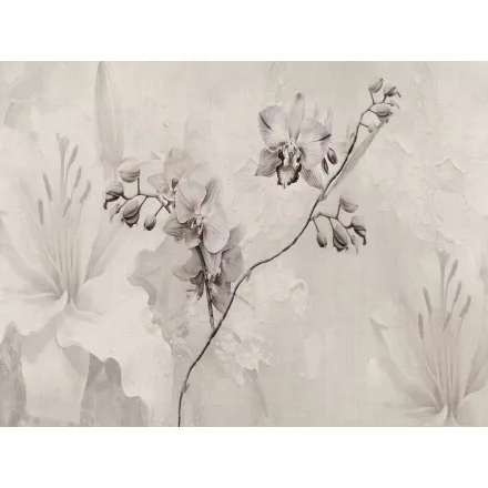 RIMURA / Main Collection