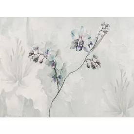 RIMURA / Main Collection