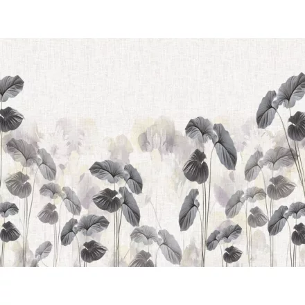 RIMURA / Main Collection