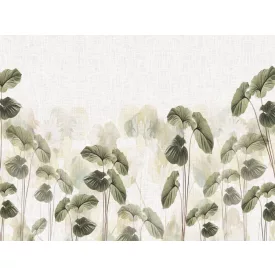 RIMURA / Main Collection