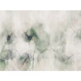 RIMURA / Main Collection