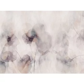 RIMURA / Main Collection