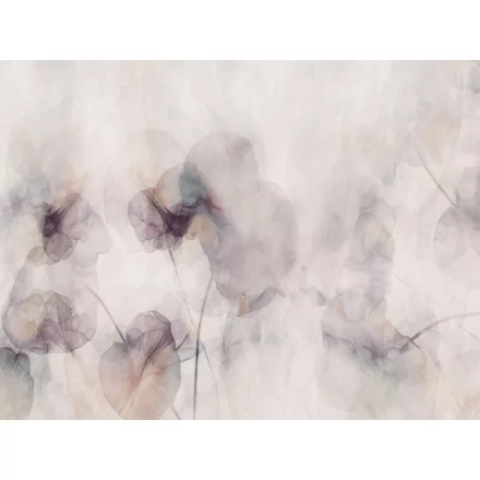 RIMURA / Main Collection