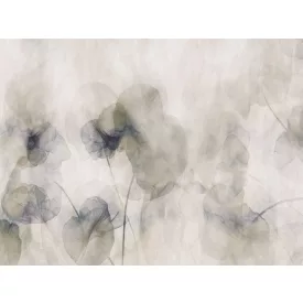 RIMURA / Main Collection