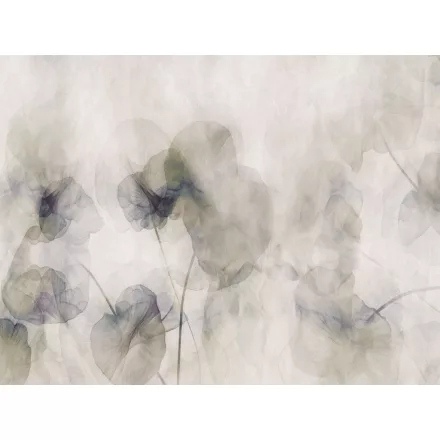 RIMURA / Main Collection