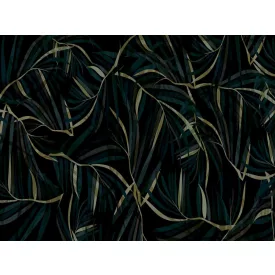 RIMURA / Main Collection