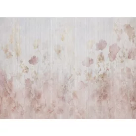 RIMURA / Main Collection