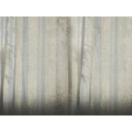 RIMURA / Main Collection