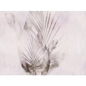 RIMURA / Main Collection