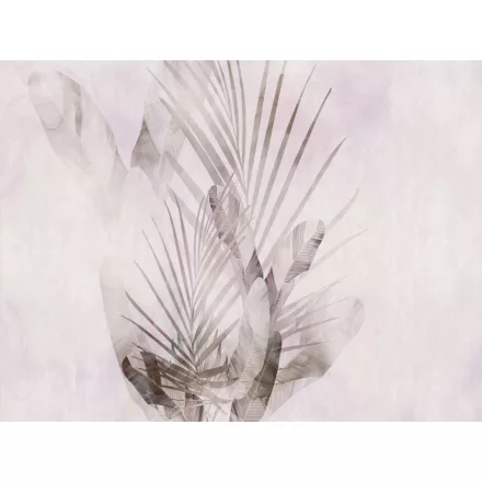 RIMURA / Main Collection